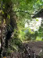 神社(名称不明)の自然