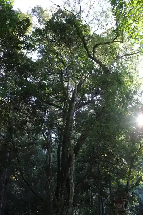 伊勢神宮内宮(皇大神宮)の自然