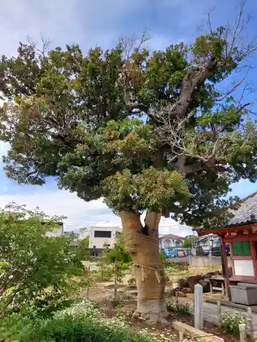 家原寺(大阪府)