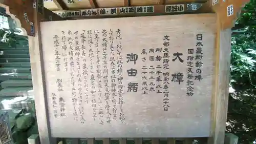 來宮神社(静岡県)