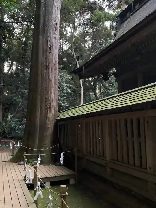 鹿島神宮(茨城県)