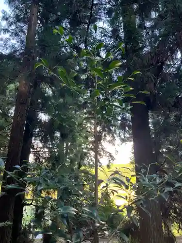 大宮温泉神社(栃木県)