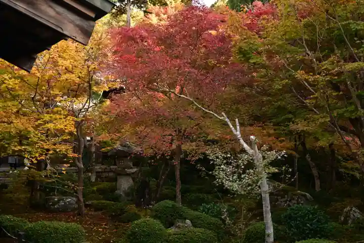圓光寺(京都府)