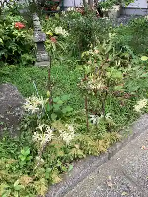 光照寺(神奈川県)