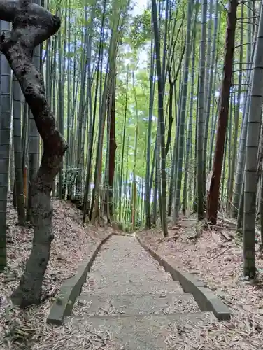 八坂神社(茨城県)