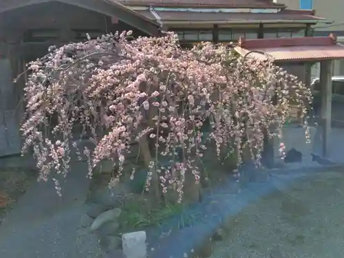 妙法寺（山崎）(神奈川県)