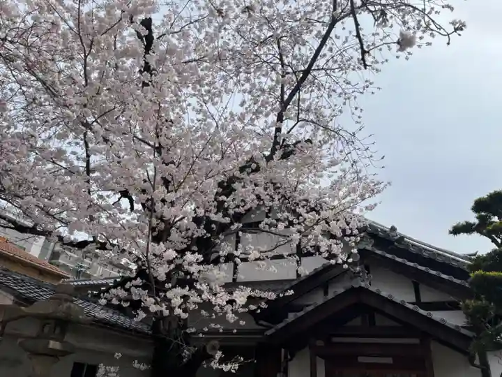 墨染寺(桜寺)の自然