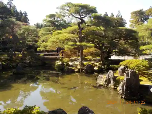 慈照寺（慈照禅寺・銀閣寺）の庭園