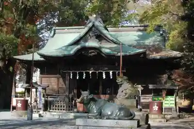 谷保天満宮の本殿・本堂