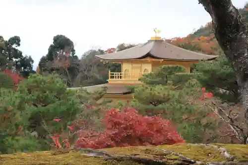 鹿苑寺（金閣寺）(京都府)