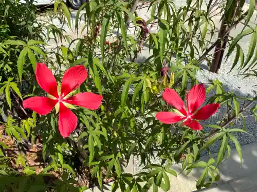 鍛冶神社(京都府)