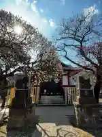 北野神社の{uncategorized: "未分類", other: "その他", undefined: "問題あり", building: "その他建物", grave: "お墓", sacred_gate: "鳥居", guardian: "狛犬", statue: "像", buddha: "仏像", history: "歴史", nature: "自然", garden: "庭園", animal: "動物", pagoda: "塔", temizu: "手水舎", mountain_gate: "山門・神門", sanctuary: "本殿・本堂", subordinate: "末社・摂社", art: "芸術", scenery: "景色", jizo: "地蔵", ema: "絵馬", goshuin: "御朱印", omikuji: "おみくじ", items: "授与品その他", amulet: "お守り", goshuincho: "御朱印帳", eats: "食事", festival: "お祭り", votive_dance: "神楽", shichigosan: "七五三参", wedding: "結婚式", experience: "体験その他", initially: "初詣", around: "周辺", anti_infection: "感染症対策"}