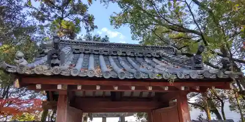 相楽神社(京都府)