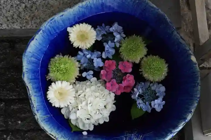 川越八幡宮(埼玉県)