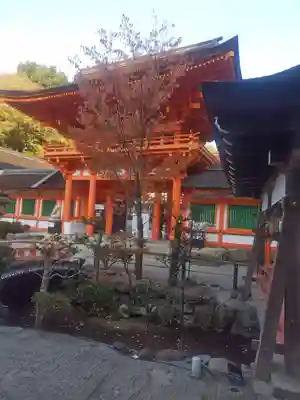 賀茂別雷神社（上賀茂神社）(京都府)