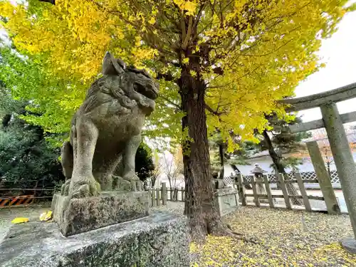 桃山天満宮の狛犬