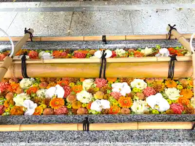 富岡八幡宮の手水舎