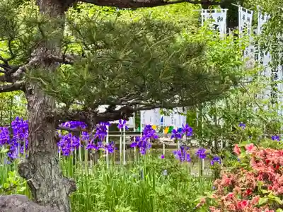 開成山大神宮(福島県)