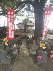 龍江院(栃木県)