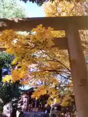 青山熊野神社(東京都)