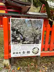 金櫻神社(山梨県)