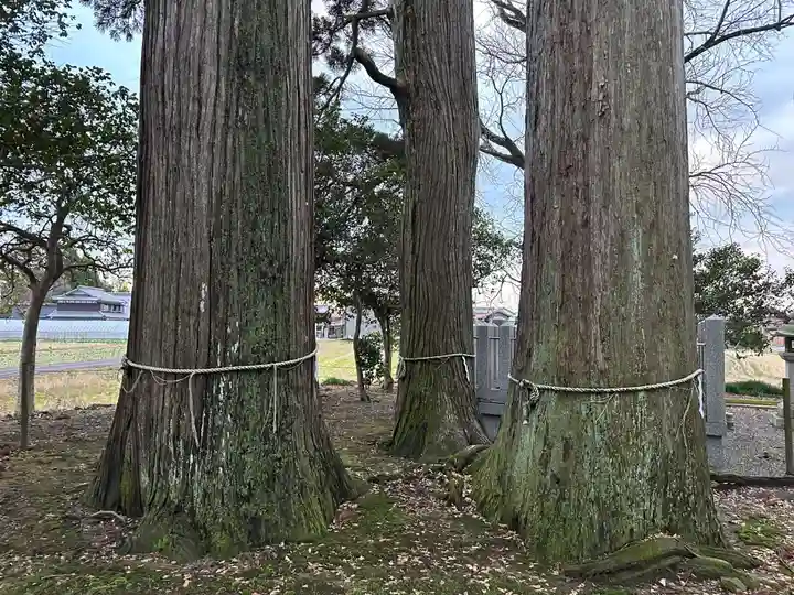 佐味神社(滋賀県)