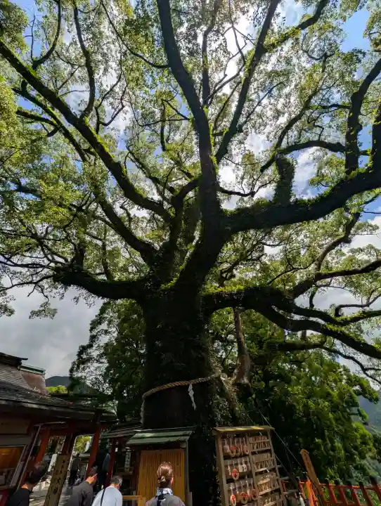 熊野那智大社(和歌山県)
