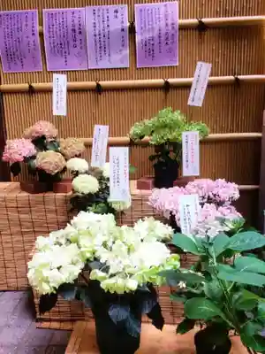 十番稲荷神社(東京都)