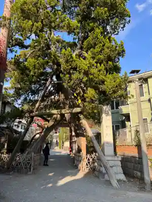 荏柄天神社(神奈川県)