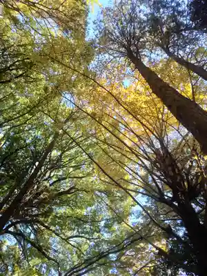 洲崎大神(神奈川県)