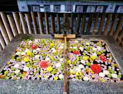 高円寺氷川神社(東京都)