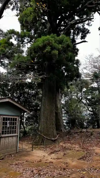 白鳥神社(千葉県)
