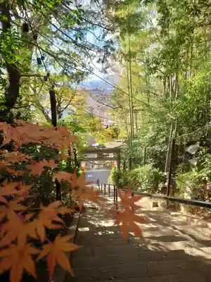 座間神社(神奈川県)