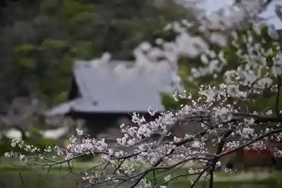 稱名寺(神奈川県)