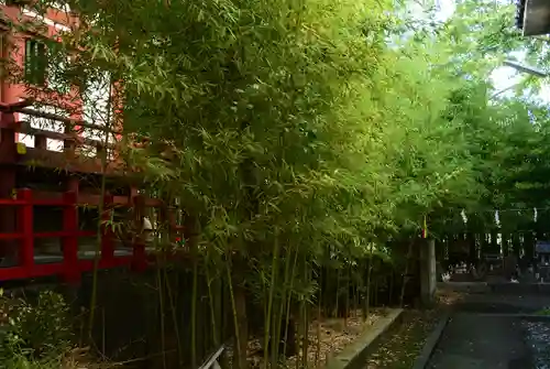 東神奈川熊野神社(神奈川県)