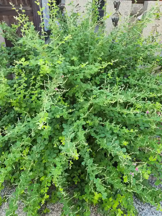 東光院(大阪府)
