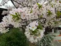 豊國神社(大阪府)