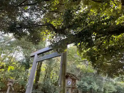 伊勢神宮内宮（皇大神宮）(三重県)