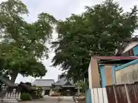 福性寺(千葉県)