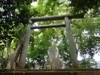浅間大神の鳥居