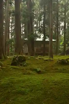 平泉寺白山神社(福井県)