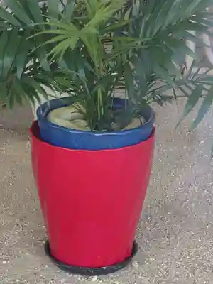 岩国白蛇神社の動物