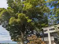 大宮神社(滋賀県)