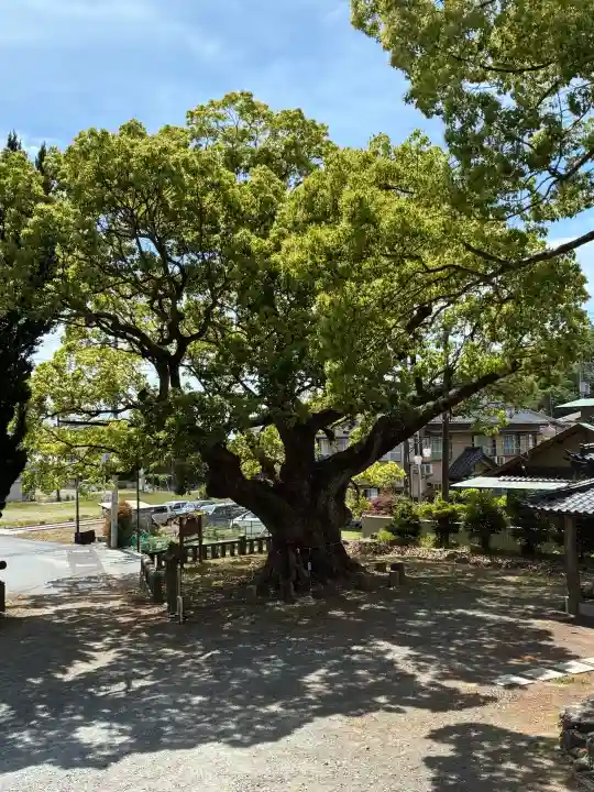 土肥神社の{uncategorized: "未分類", other: "その他", undefined: "問題あり", building: "その他建物", grave: "お墓", sacred_gate: "鳥居", guardian: "狛犬", statue: "像", buddha: "仏像", history: "歴史", nature: "自然", garden: "庭園", animal: "動物", pagoda: "塔", temizu: "手水舎", mountain_gate: "山門・神門", sanctuary: "本殿・本堂", subordinate: "末社・摂社", art: "芸術", scenery: "景色", jizo: "地蔵", ema: "絵馬", goshuin: "御朱印", omikuji: "おみくじ", items: "授与品その他", amulet: "お守り", goshuincho: "御朱印帳", eats: "食事", festival: "お祭り", votive_dance: "神楽", shichigosan: "七五三参", wedding: "結婚式", experience: "体験その他", initially: "初詣", around: "周辺", anti_infection: "感染症対策"}