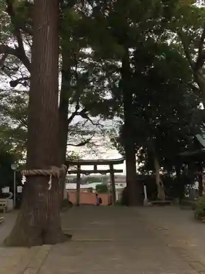 比々多神社のその他建物