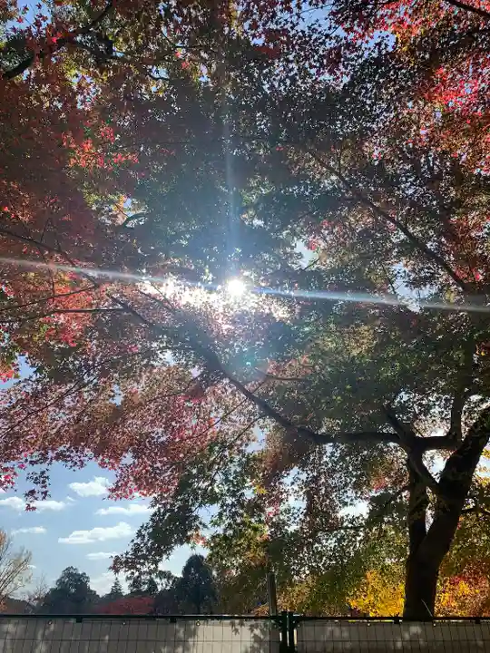 手向山八幡宮(奈良県)