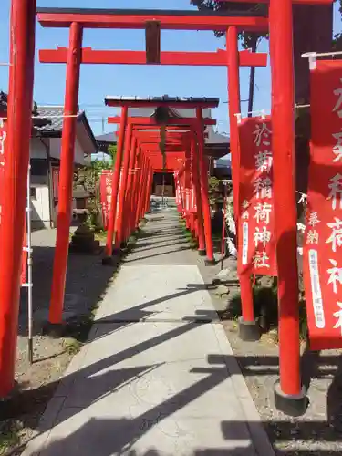 於菊稲荷神社(群馬県)
