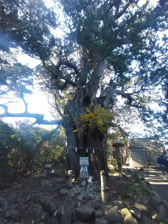 大瀬神社(静岡県)