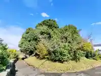 厳島神社(弁天山)(徳島県)