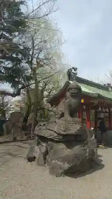 浅草神社の狛犬
